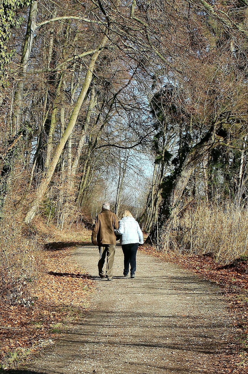 Nature, path, walk, harmony, hand in hand, arm-in-arm, people, pair, togetherness, together, as a couple, older, old, relationship, man and woman, silhouettes, lovers, older, older, lovers, lovers, lo