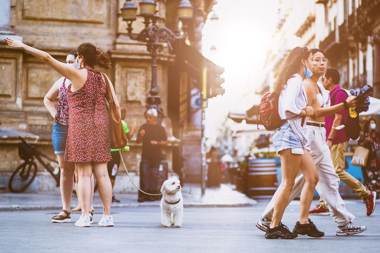 People, street, city, animal, walking, urban, crowd, road, busy, lifestyle, friends, pet, dog, doggy, canine, summer, cute, together, group, fun, friendship, tourists, nature, disney