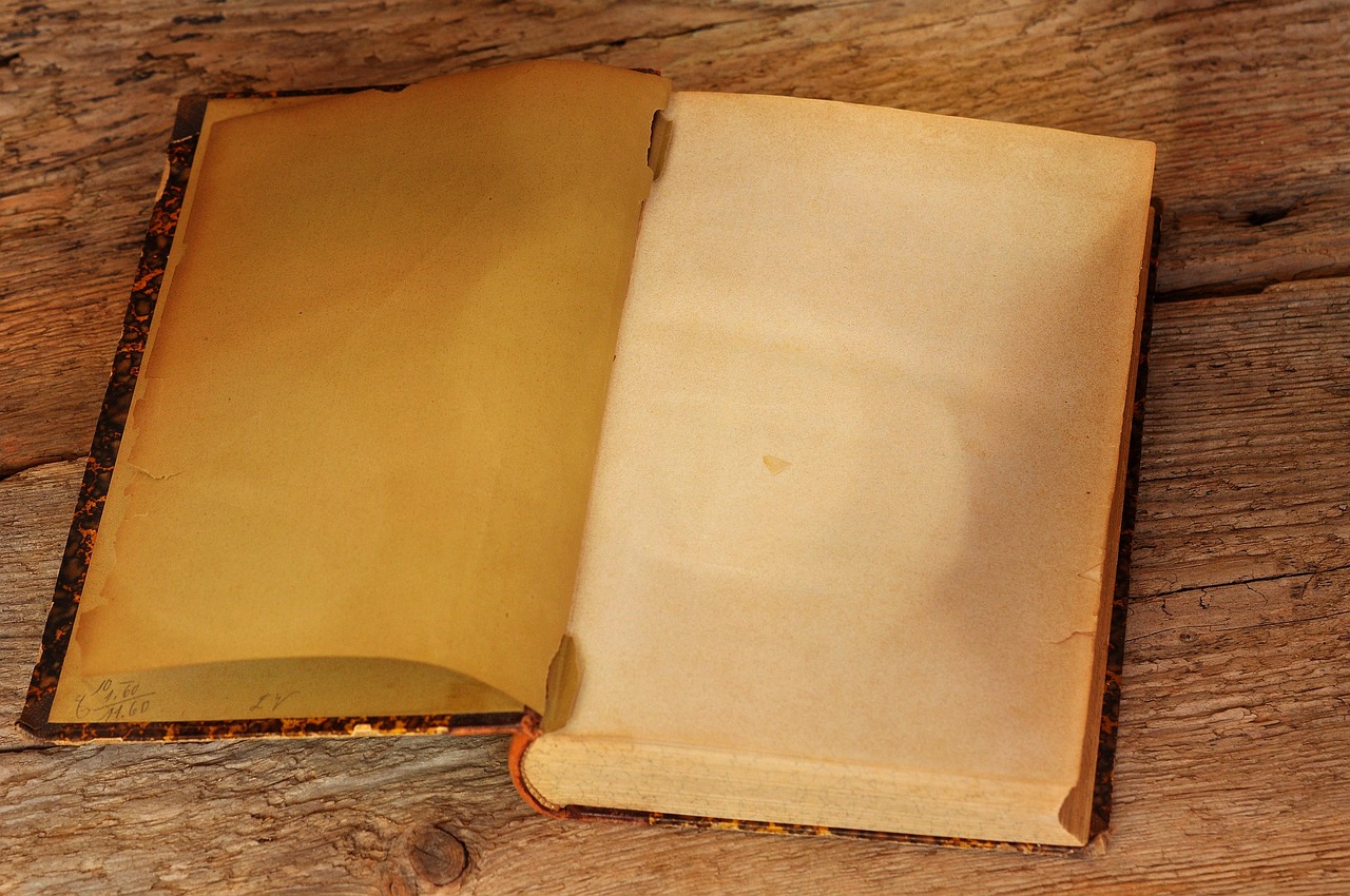 A book, old, antique, pages, empty pages, book pages, wooden table