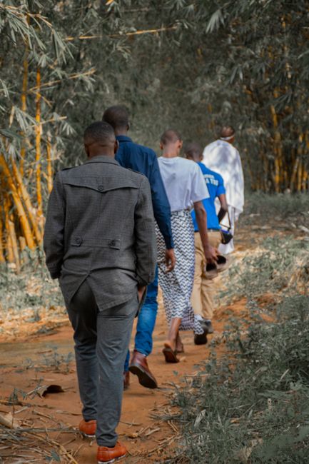 A diverse group of adults walking together in a serene bamboo forest trail.