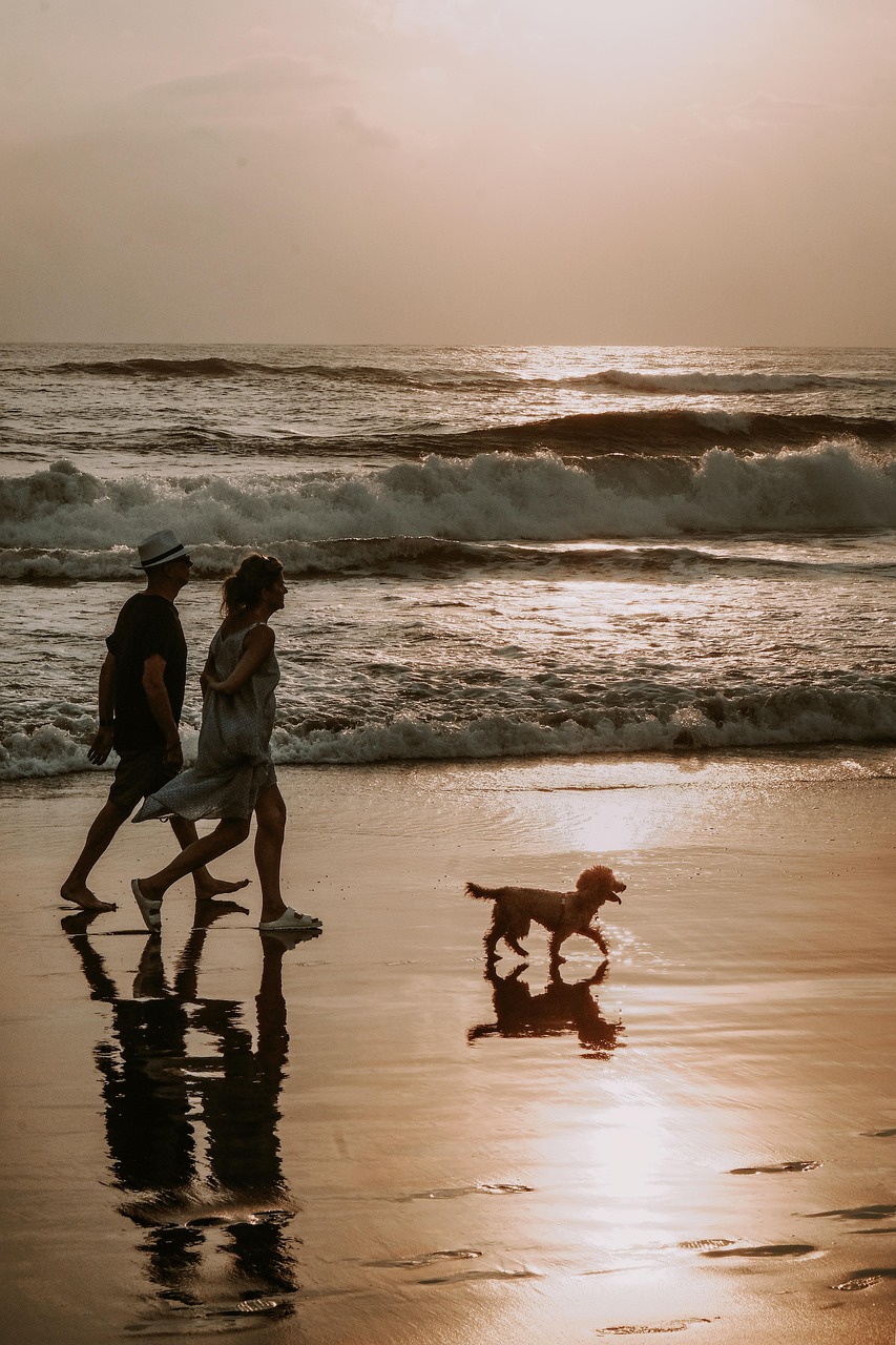 Couple, dog, walk, animal, beach, nature, bali, wave, shores, sea, ocean, pet, sunset