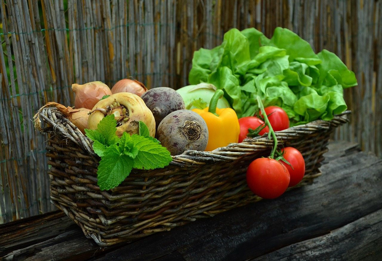 vegetables, basket, vegetable basket, harvest, produce, organic, nature, fresh, fresh produce, fresh vegetables, assorted, food, garden, salad, health