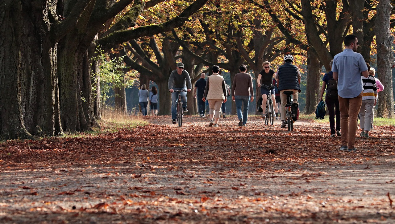 The 10,000 Steps Myth: How Many Steps You Really Need