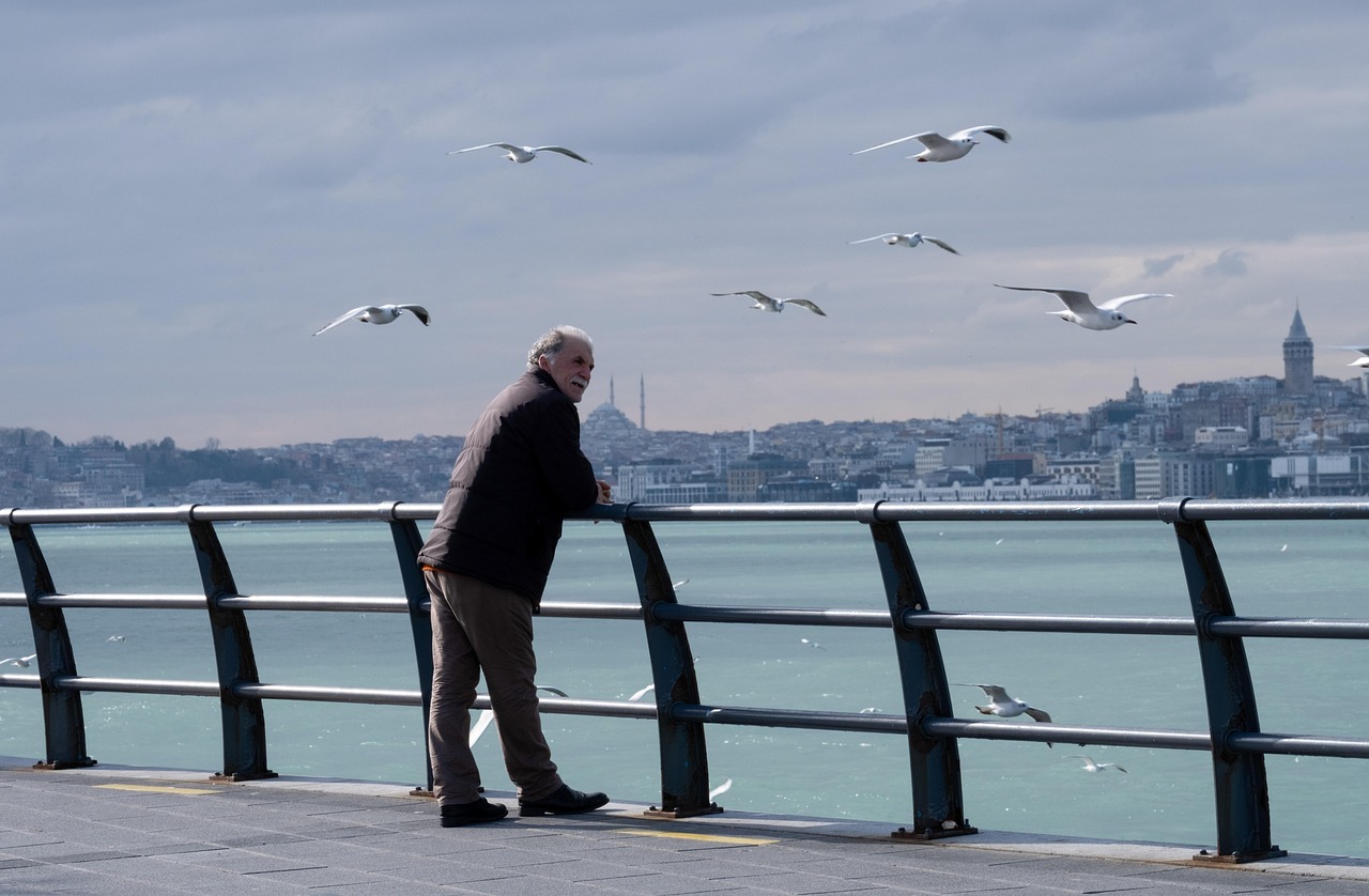 old man, nature, sea, seagulls, man, pier, boardwalk