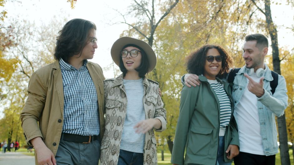 A diverse group of friends walking together in a sunny autumn park, smiling and having fun.