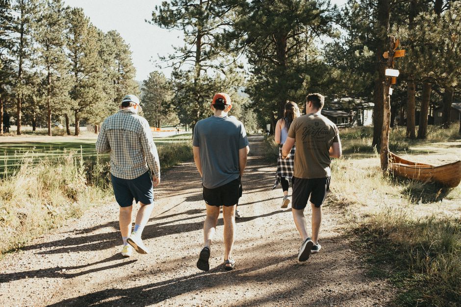 Four friends enjoy a hike on a sunny trail surrounded by tall pine trees in Colorado.