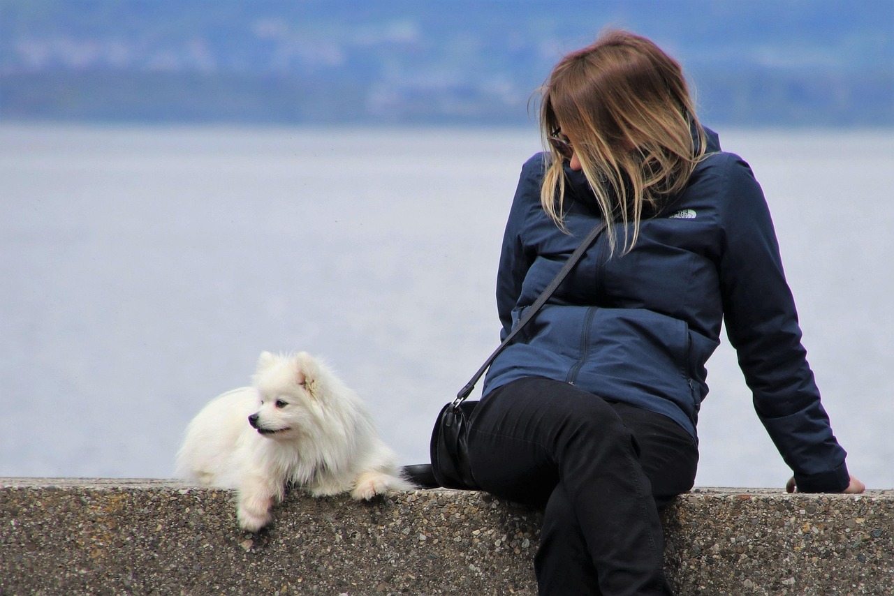 Girl, white dog, pensive, looks, spitz, sit, together, water, happy, meeting, relaxation, lake, nice, in the morning, walk, nature, jacket, hair, to reflect, seasons, beach, styling, late autumn, clot