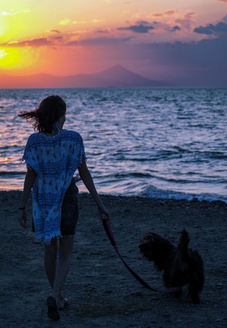 A woman walks her dog along the beach at sunset, creating a serene silhouette against the colorful sky.