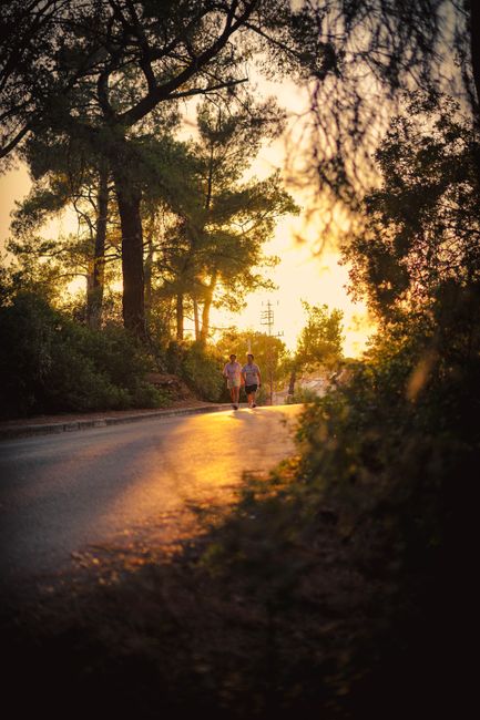 A couple walks along a tree-lined road during a beautiful sunset.